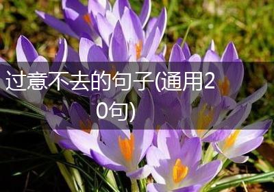 过意不去的句子(通用20句)