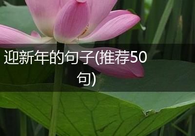 迎新年的句子(推荐50句)
