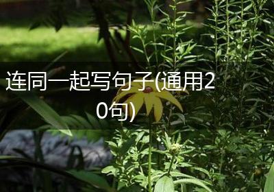 连同一起写句子(通用20句)