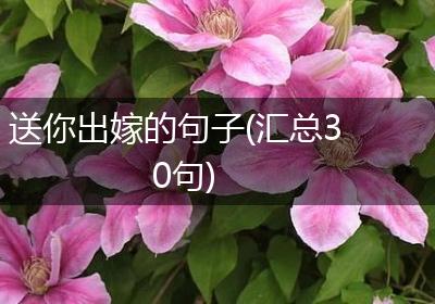 送你出嫁的句子(汇总30句)