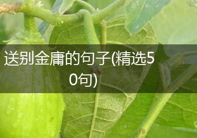 送别金庸的句子(精选50句)