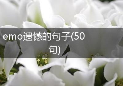 emo遗憾的句子(50句)