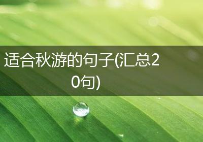 适合秋游的句子(汇总20句)