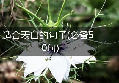 适合表白的句子(必备50句)
