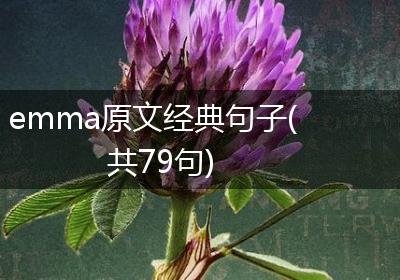 emma原文经典句子(共79句)