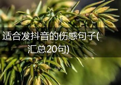 适合发抖音的伤感句子(汇总20句)