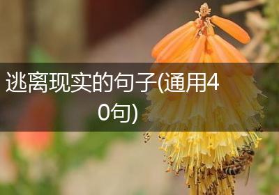 逃离现实的句子(通用40句)