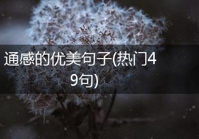 通感的优美句子(热门49句)
