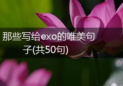 那些写给exo的唯美句子(共50句)