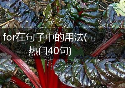 for在句子中的用法(热门40句)