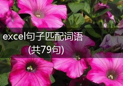 excel句子匹配词语(共79句)