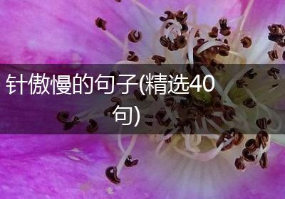 针傲慢的句子(精选40句)