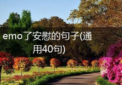 emo了安慰的句子(通用40句)