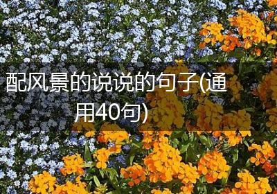 配风景的说说的句子(通用40句)