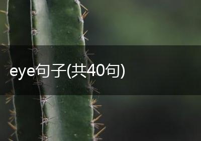 eye句子(共40句)