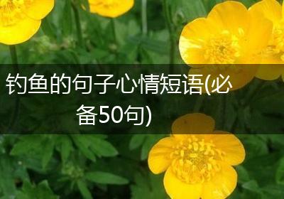 钓鱼的句子心情短语(必备50句)