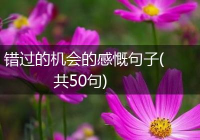错过的机会的感慨句子(共50句)