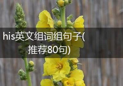 his英文组词组句子(推荐80句)
