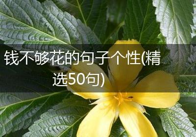 钱不够花的句子个性(精选50句)