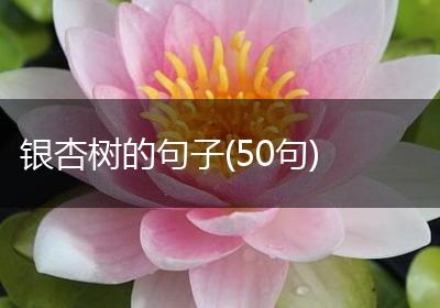 银杏树的句子(50句)