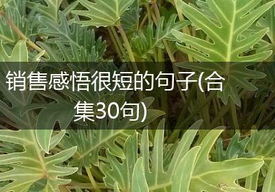 销售感悟很短的句子(合集30句)