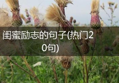 闺蜜励志的句子(热门20句)
