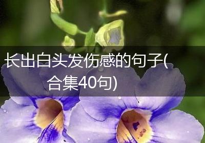 长出白头发伤感的句子(合集40句)
