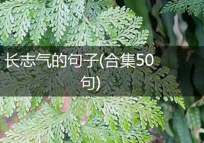 长志气的句子(合集50句)