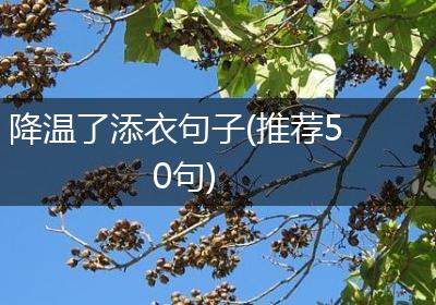 降温了添衣句子(推荐50句)