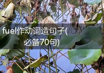 fuel作动词造句子(必备70句)