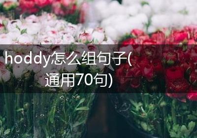 hoddy怎么组句子(通用70句)