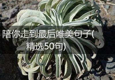 陪你走到最后唯美句子(精选50句)