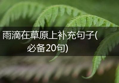 雨滴在草原上补充句子(必备20句)