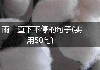 雨一直下不停的句子(实用50句)