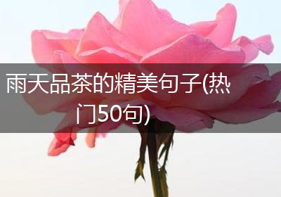 雨天品茶的精美句子(热门50句)