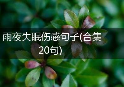 雨夜失眠伤感句子(合集20句)