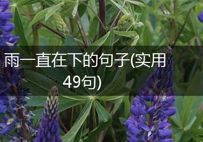 雨一直在下的句子(实用49句)
