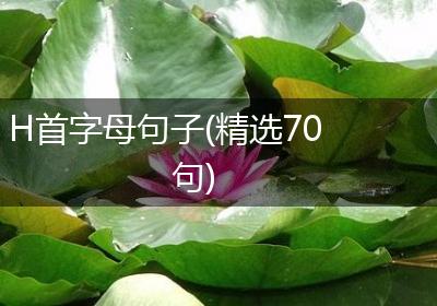 H首字母句子(精选70句)