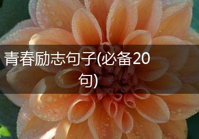 青春励志句子(必备20句)
