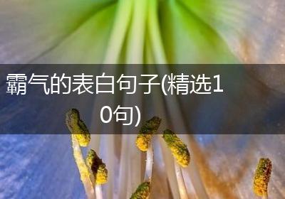 霸气的表白句子(精选10句)