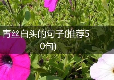 青丝白头的句子(推荐50句)