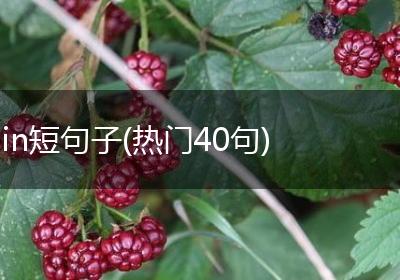 in短句子(热门40句)