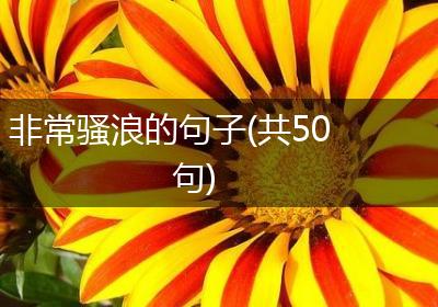 非常骚浪的句子(共50句)
