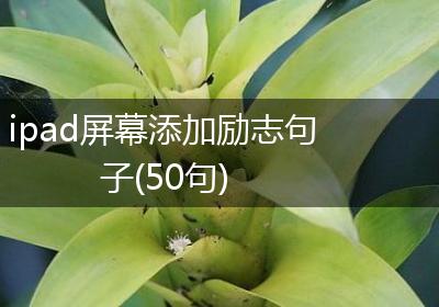 ipad屏幕添加励志句子(50句)