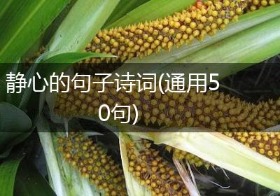 静心的句子诗词(通用50句)