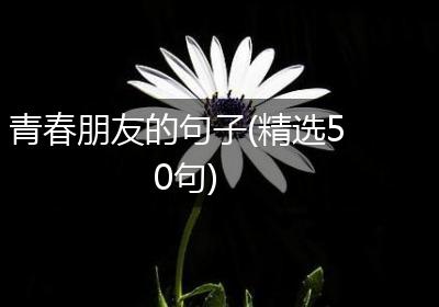青春朋友的句子(精选50句)