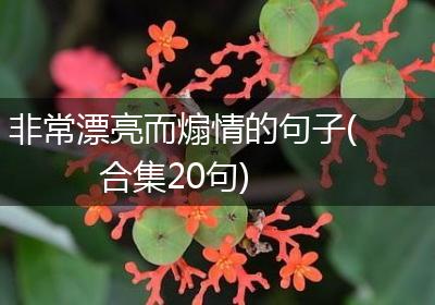 非常漂亮而煽情的句子(合集20句)