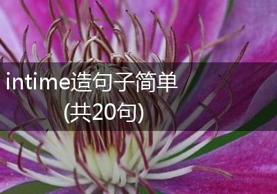 intime造句子简单(共20句)