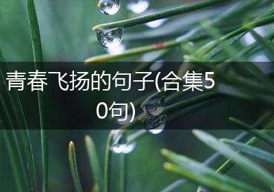 青春飞扬的句子(合集50句)
