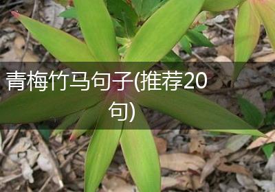 青梅竹马句子(推荐20句)